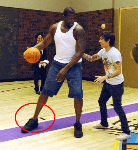 对纽约大都 对纽约大都